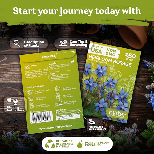 150 Borage Heirloom Herb Seeds for Planting