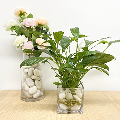 40 lbs White River Rocks for Landscaping (1-2 Inch / 40 Pounds)