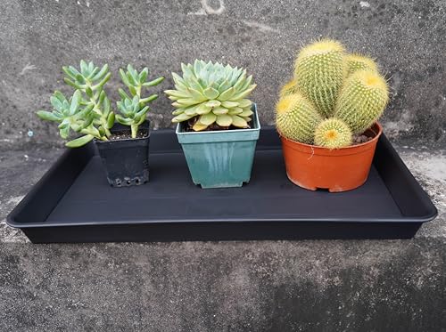 Plant Saucer Growing Tray (6 Count)