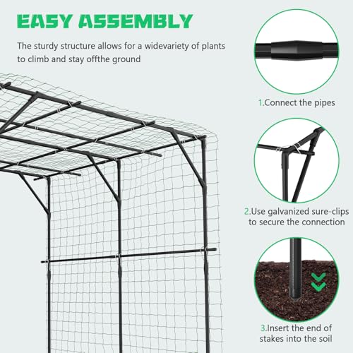 79" H x 79" L Garden Arch Trellis (79" L x 79" W x 79" H)