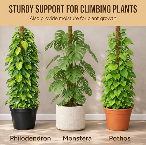 Moss Pole Monstera Plant Support (2-Pack (64 in))