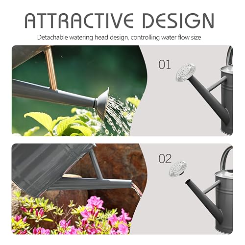 Metal Watering Can for Outdoor Plants (Gray)
