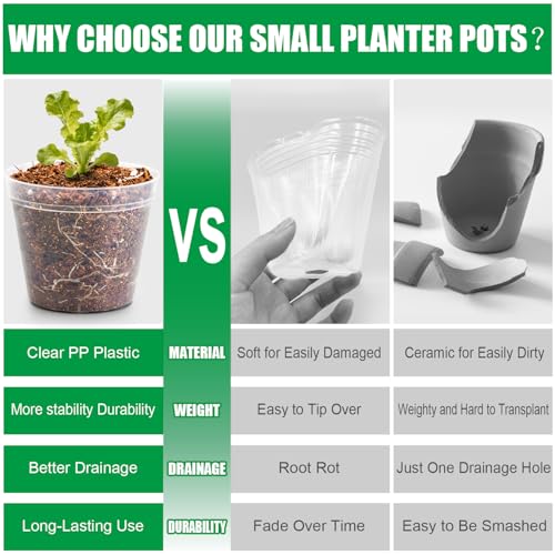 200 Pack 2.5 Inch Clear Nursery Pots with Drainage Hole (Clear / 2.5 Inch-200P)