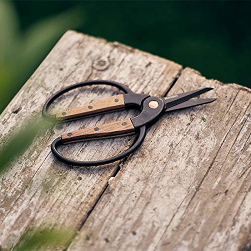 Garden Scissors (Small Garden Scissors)