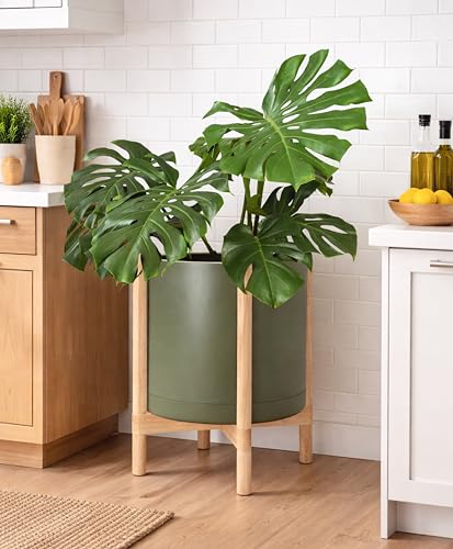 Plastic Pot with Natural Wood Stand (Olive Pot + Natural Stand / 16 Inch)