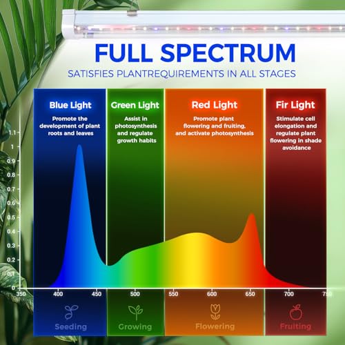 Indoor Greenhouse with Grow Light (Transparent / 4 Tier with Grow Light)