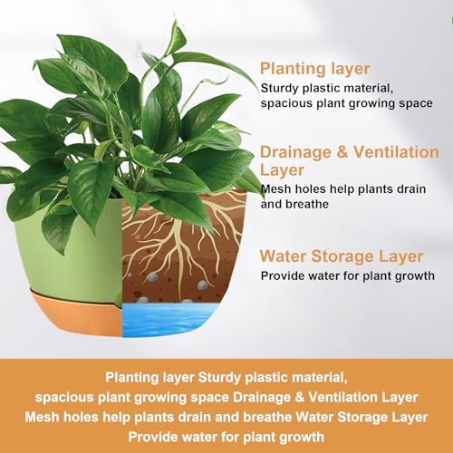 Hanging Planters (Green / 10 inch)