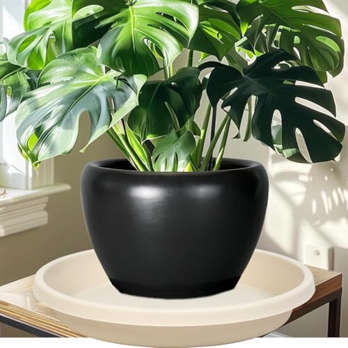 5 Pack Plant Saucer 6 Inch (6" (5 Pack) / Beige)