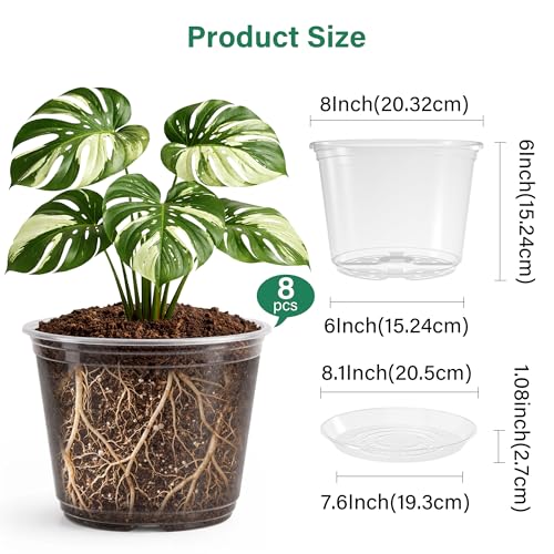 Clear Nursery Pots with Saucers (8 Inch-8Pcs)