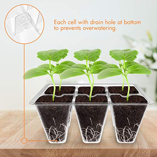 3 Pack Seed Starter Tray Germination Kit (3 Count)