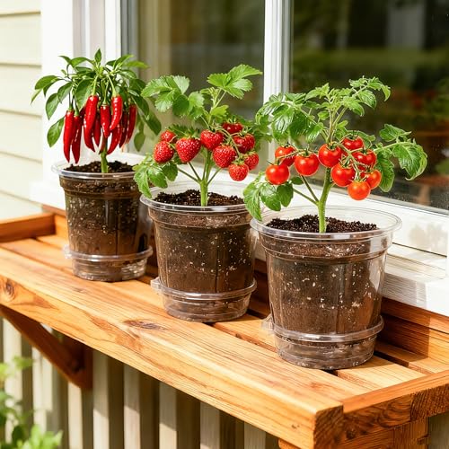 Self Watering Pots for Indoor Plants (6.5 Inch-12Pcs)