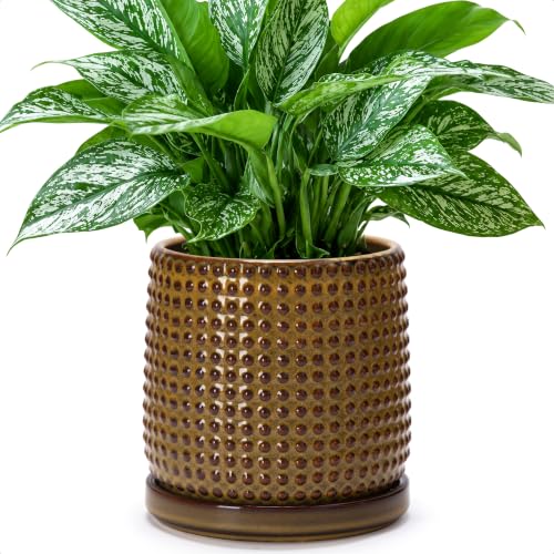 Beaded Ceramic Pot with Saucer (5.8 Inch / Olive Bronze)