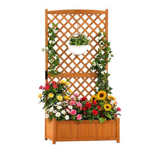Raised Garden Bed with Trellis (Orange / 36"Lx18"Wx71"H)