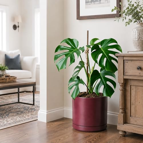10 Inch Ceramic Planter Pot (Large / Cordovan)