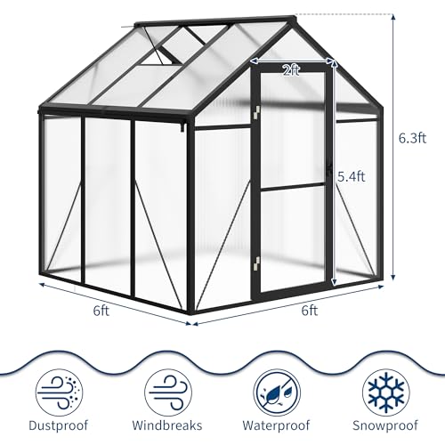 6x6 FT Greenhouse for Outdoors (Black / 6x6 FT)