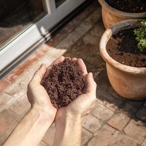 Coconut Coir Potting Soil for Indoor Plants