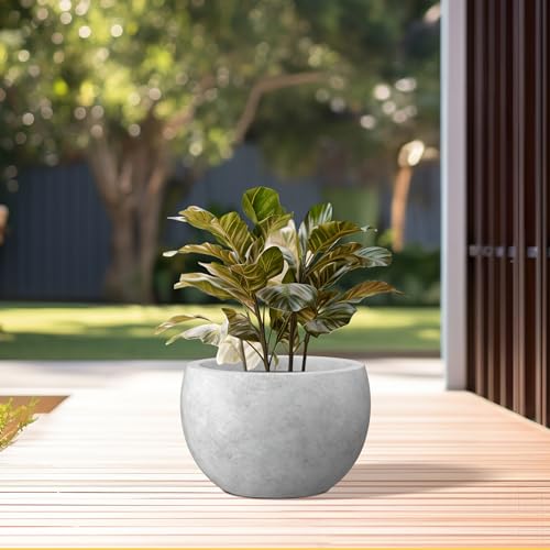 Accent Round Bowl Pale Gray Concrete Planter 15.7" Dia (Natural Concrete / 15.7" d)
