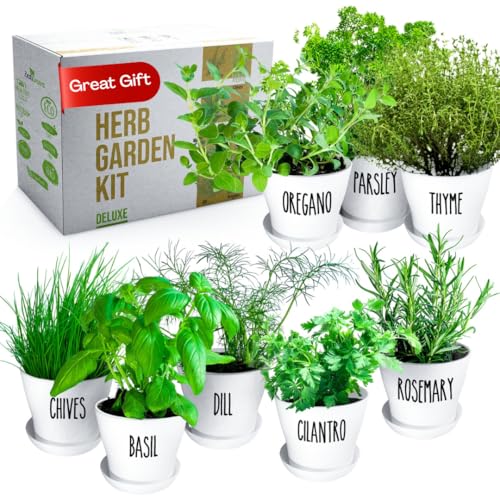 Herb Garden Starter Kit (8 Herb)
