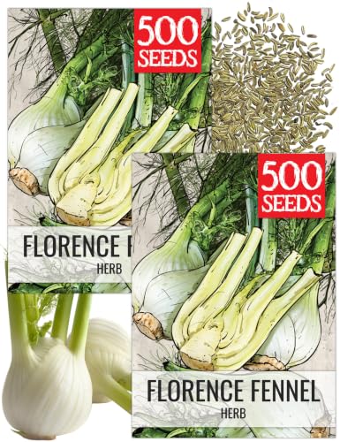 Herb Seeds to Plant Florence Fennel (2 Packs)
