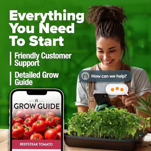 Beefsteak Tomato Seeds (2 Count)