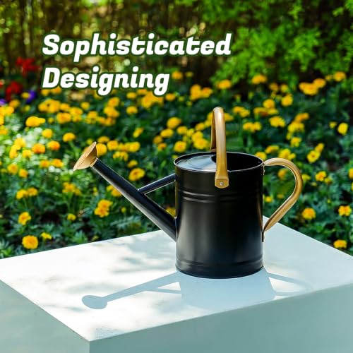 1 Gallon Watering Can for Plants (Black-gold)