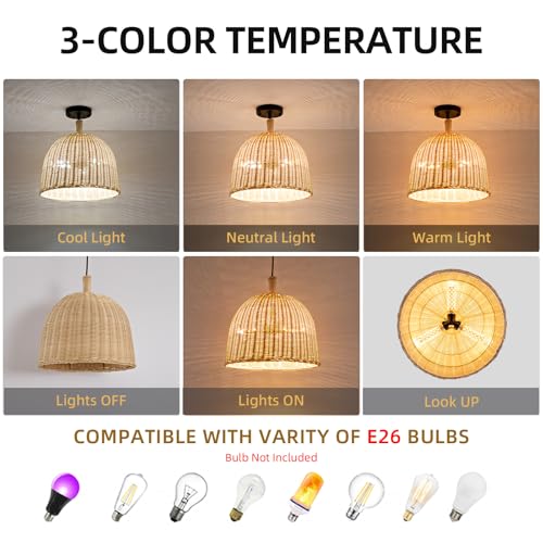 13.8" Rattan Pendant Light (Black+Rattan / 13.77" 3-Light)