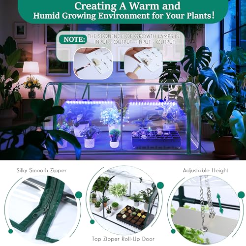 Mini Greenhouse with Grow Light (51.18"L x 25.59"W x 21.65"H / Dome Shape)