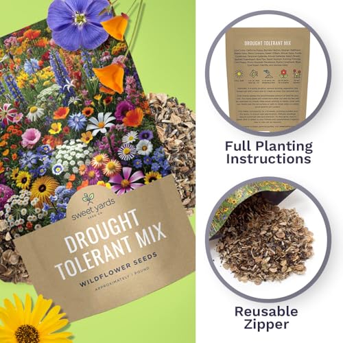 Drought Tolerant Wildflowers Mix (1 lb Bag)