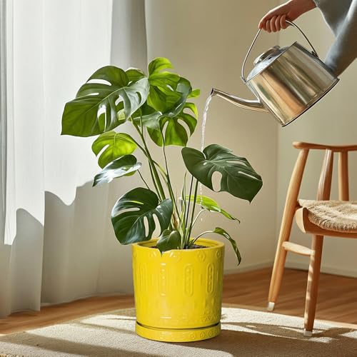 Plant Saucers for Indoors (9.3 Inch / Yellow)