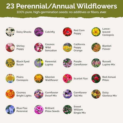 Vermont Wildflower Mixed Seeds for Planting