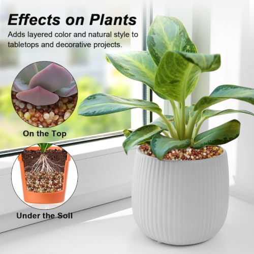 Decorative River Pebbles for Vase Fillers Aquarium Potted Plant Landscaping (1 Pound / Three Colors)