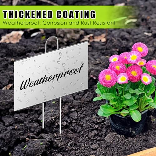 100 Pcs Large Plant Marker (4'' X 6'' with 11'' Stake / Silver)