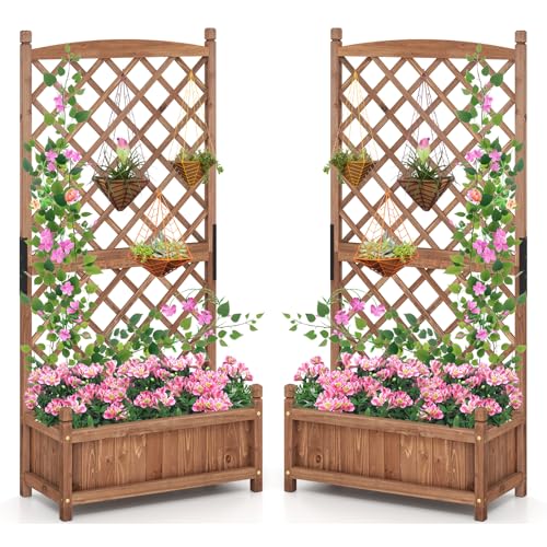 Raised Garden Bed with Trellis Set of 2 (Brown / 28"Lx13"Wx60"H)