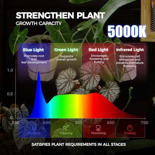 LH750 Pegboard Indoor Greenhouse with Grow Light (5000K-LH750 / 29.5x13.8x67.9IN w/ Tent)