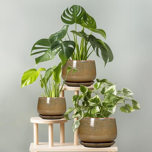 7 Inch Ceramic Pots for Plants (7 Inch / Speckled Brown)