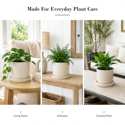 Plant Saucers (Beige White 10″)