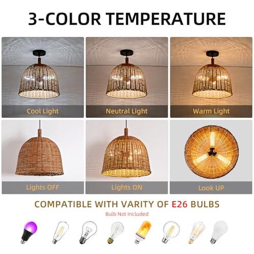 13.8" Rattan Pendant Light (Dark Brown Rattan / 13.77" 3-Light)