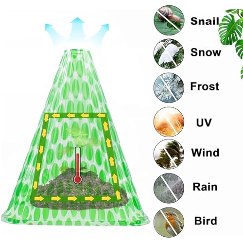 Pack 40 Garden Cloches for Plants (Dark green 40)