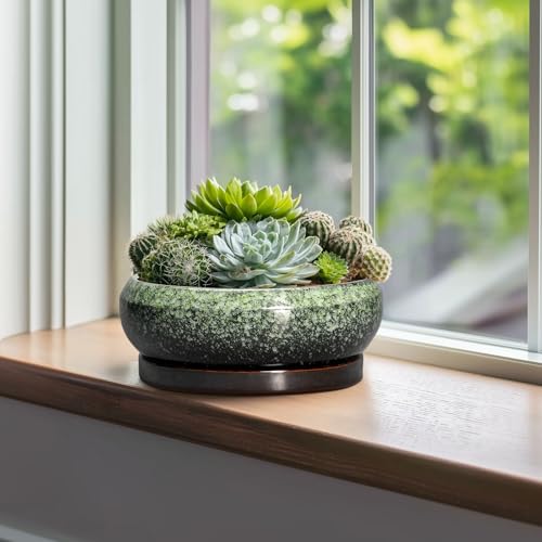 Bonsai Pots 10 Inch (10 Inch / Retro Green)
