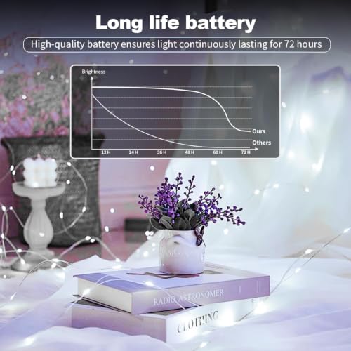 24 Pack Fairy Lights Battery Operated (2032-24 Pack-Warm & White)