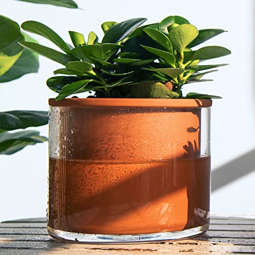 4 Inch 6 Inch Self Watering Plants Pots (4+6 Inch / Terracotta)