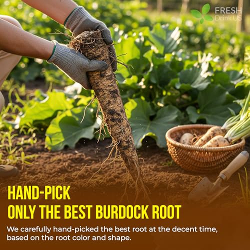 Premium 40 Bags Burdock Root Tea (40 Count (Pack of 1))