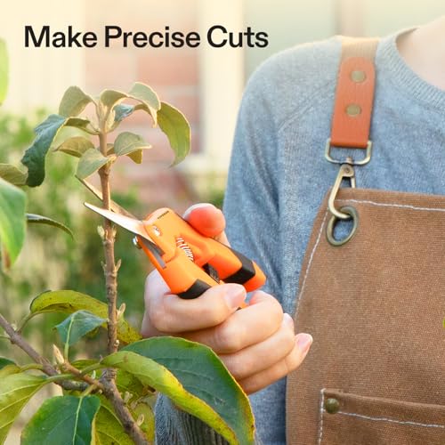 6.5 Inch Garden Scissors (3 Count)