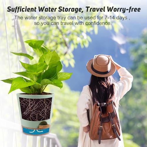 8 Inch Plant Pots (2 Count)