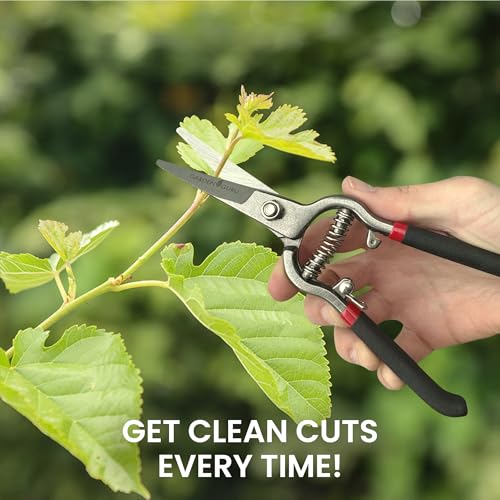 Garden Guru Classic Bypass Pruning Shears Clippers (60 Pack / Precision Blade)