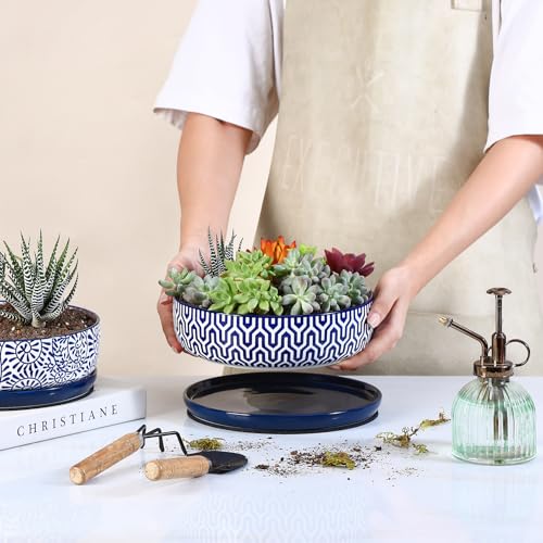 Ceramic Succulent Pots (Vintage Blue / 8 inch)