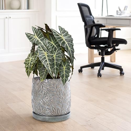 Embossed Leaves Ceramic Planter (10 Inch / Graphite Blue)