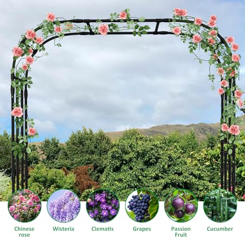 Garden Arch Trellis (87" H x 16" L x 79" W)