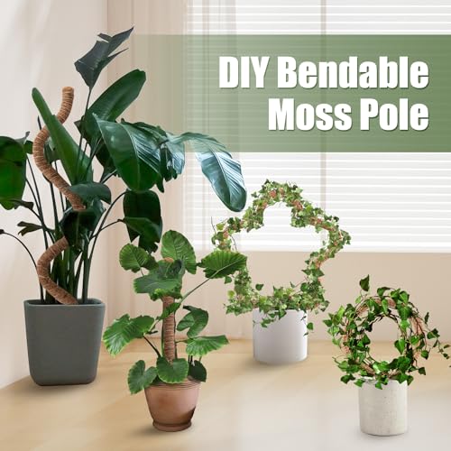 3 Pack Moss Pole 63 Inch Monstera Plant Sticks Support Tall Long Stakes (3 Pack)