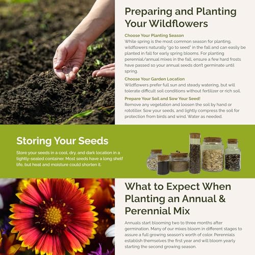 North Dakota Wildflower Mixed Seeds for Planting